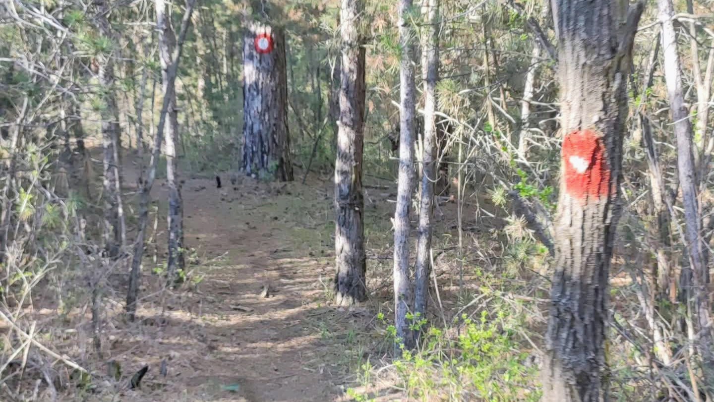 Одржан „Вршац Челенџ Рејс“